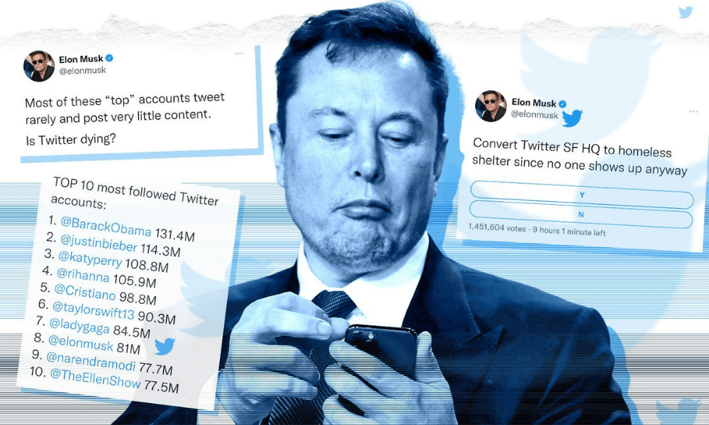 Elon Musk’s Top Priority Is Cutting Down On Crypto Scam Tweets!